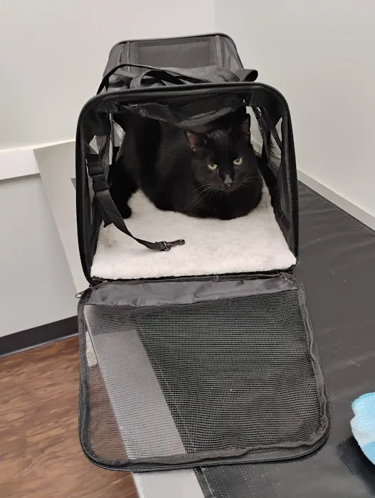 Pets In Need of Greater Cincinnati Picture 5