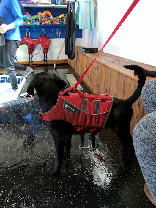 k9 Waves Picture 1