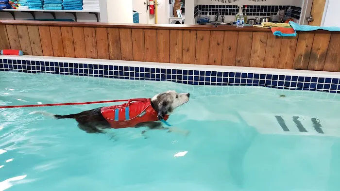 k9 Waves Picture 3