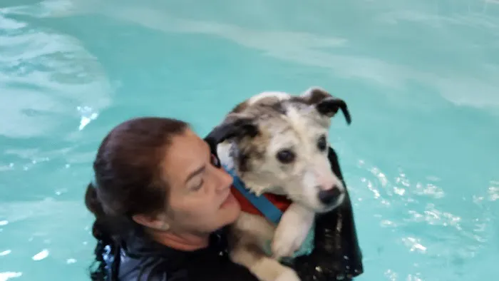k9 Waves Picture 5