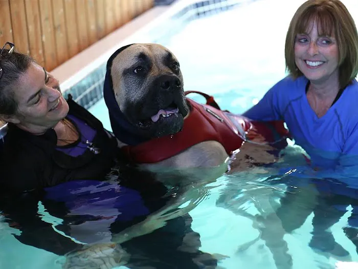 k9 Waves Picture 6