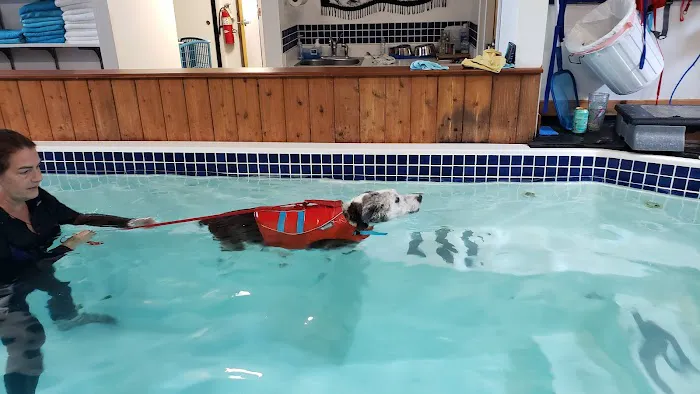 k9 Waves Picture 10