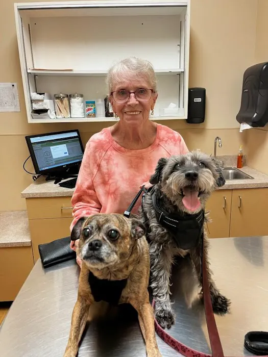 Noah's Ark Animal Clinic of Ft. Wright Picture 1
