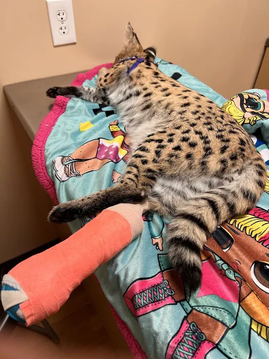 Noah's Ark Animal Clinic of Ft. Wright Picture 4