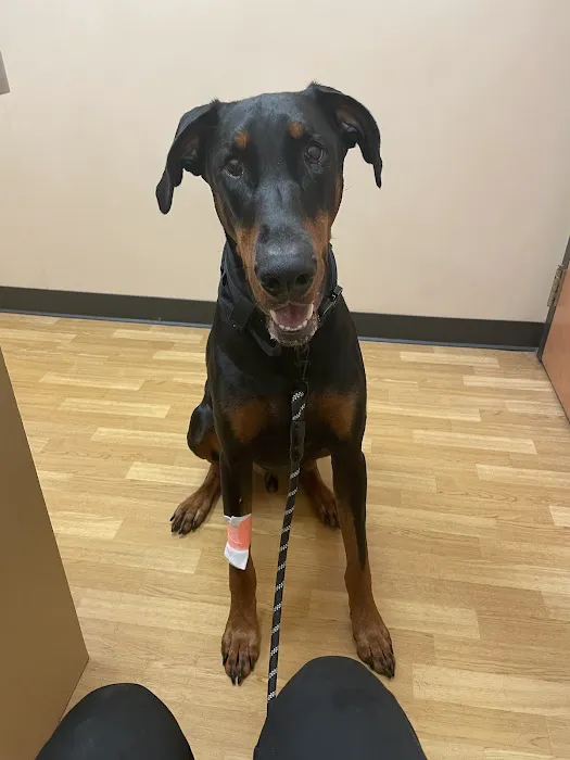 Noah's Ark Animal Clinic of Ft. Wright Picture 10