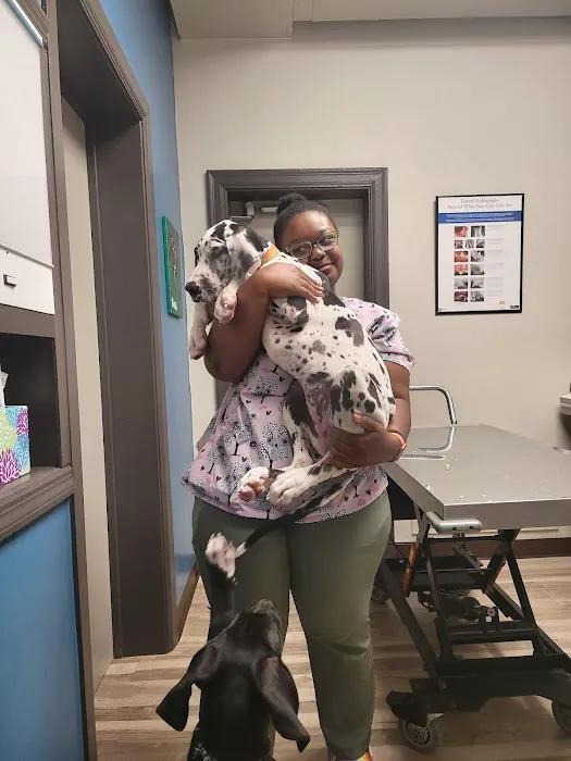 Park Hills Animal Hospital Picture 10