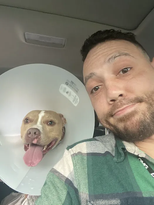 Mark Collett, DVM - Park Hills Animal Hospital Picture 4