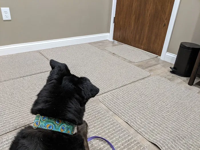 Holistic Veterinary Care Picture 4