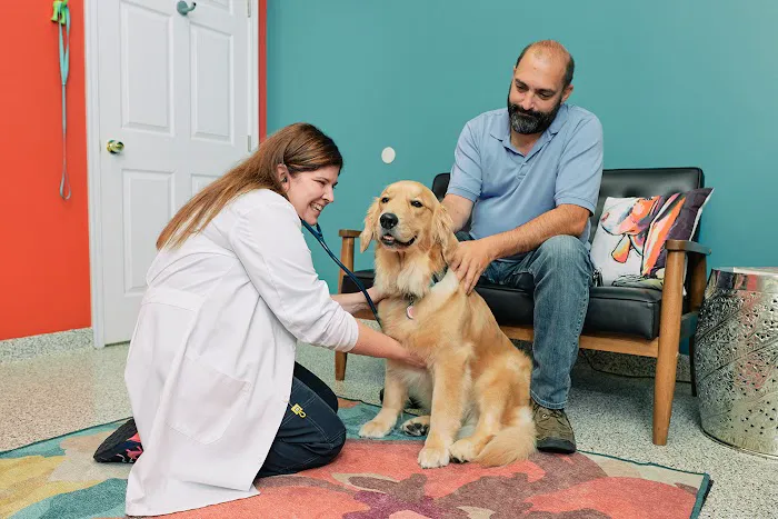 PetVet365 Pet Hospital Cincinnati/Newport Picture 2