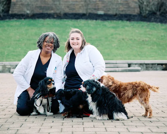 PetVet365 Pet Hospital Cincinnati/Newport Picture 1