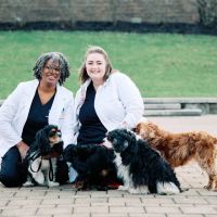 PetVet365 Pet Hospital Cincinnati/Newport ico