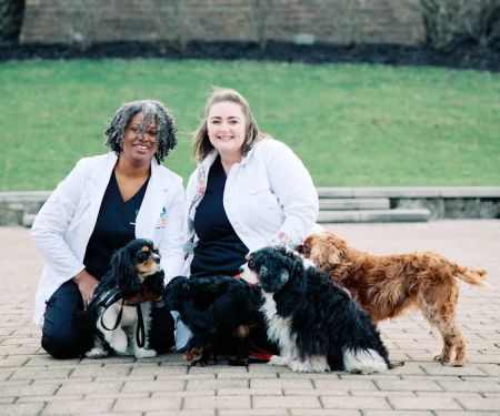 PetVet365 Pet Hospital Cincinnati/Newport