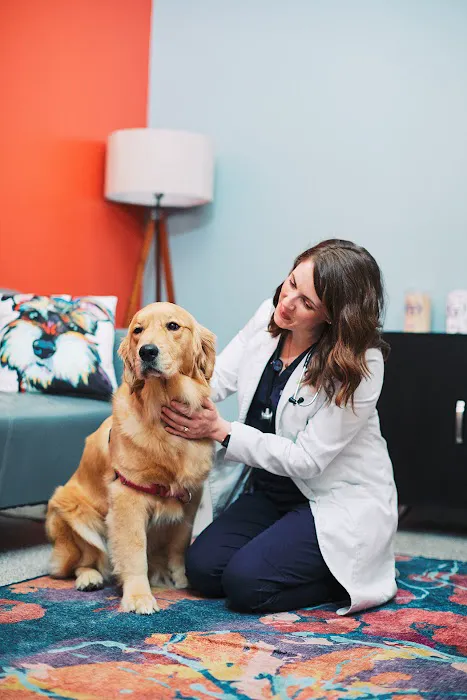 PetVet365 Pet Hospital Cincinnati/Newport Picture 4
