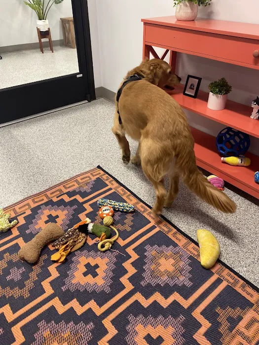 PetVet365 Pet Hospital Cincinnati/Newport Picture 5
