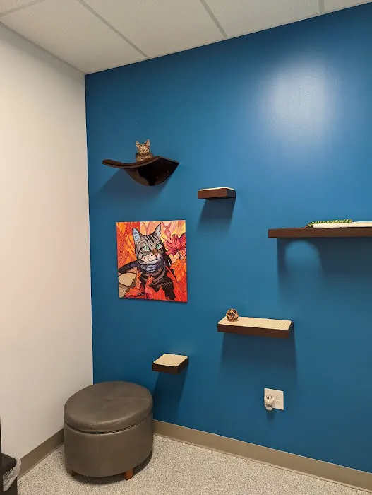 PetVet365 Pet Hospital Cincinnati/Newport Picture 9