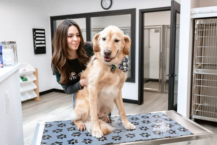 Wyoming Veterinary Clinic Picture 2