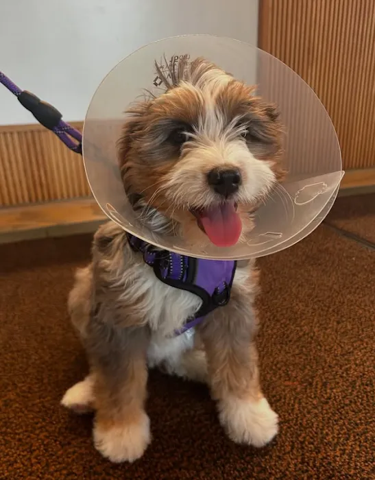 Wyoming Veterinary Clinic Picture 3