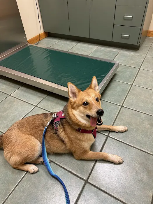 Wyoming Veterinary Clinic Picture 8