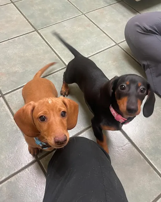 Wyoming Veterinary Clinic Picture 10