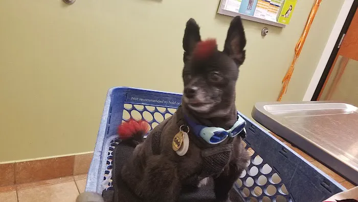 Banfield Pet Hospital Picture 4