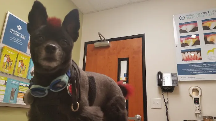 Banfield Pet Hospital Picture 6