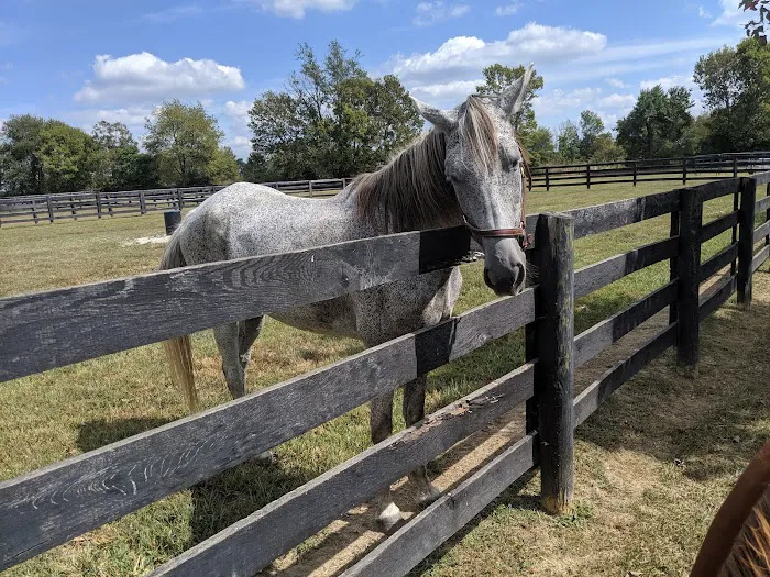 Park Equine Hospital Picture 2