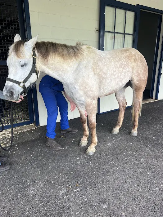 Park Equine Hospital Picture 3