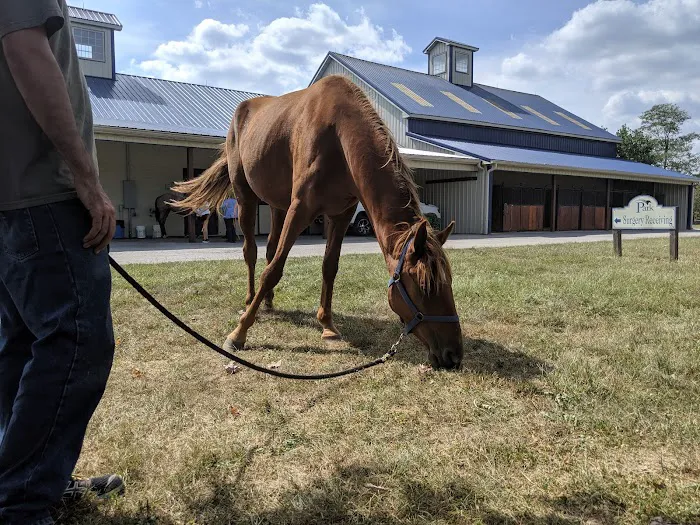 Park Equine Hospital Picture 5