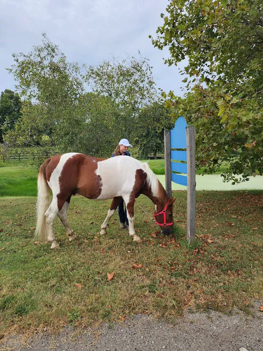 Park Equine Hospital Picture 4
