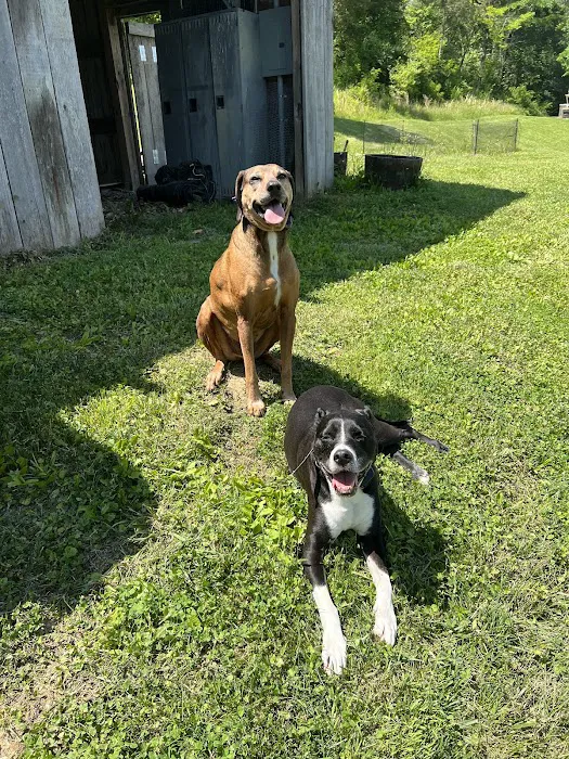 Riverview Animal Hospital Picture 2