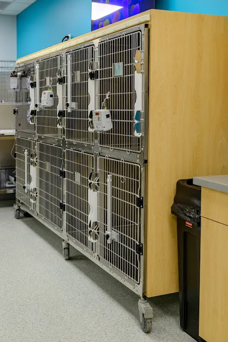 AcutePet Urgent Care Picture 10