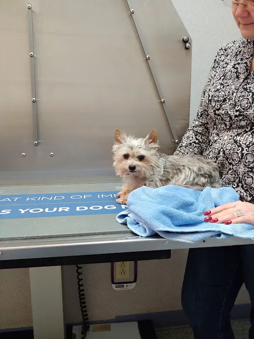 Bellevue Animal Hospital Picture 3