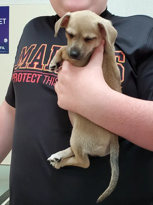 Bellevue Animal Hospital Picture 8