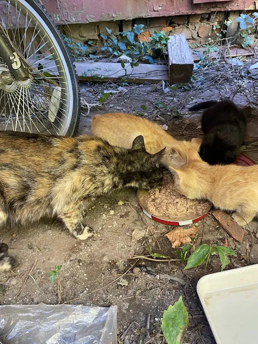 Florence Veterinary Hospital Picture 3