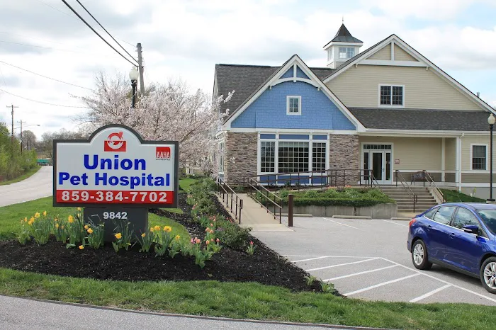 Union Pet Hospital Picture 1