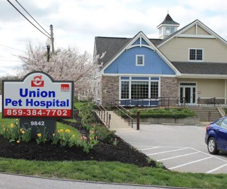 Union Pet Hospital