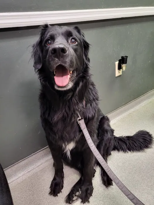 Huesing Veterinary Clinic Picture 5