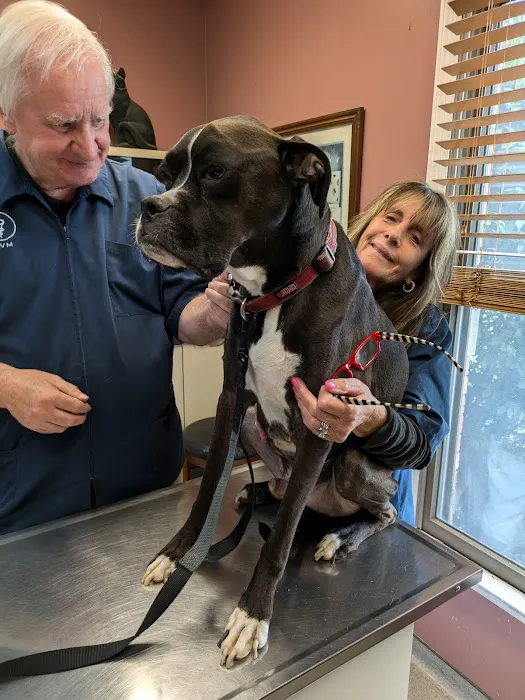 Huesing Veterinary Clinic Picture 1