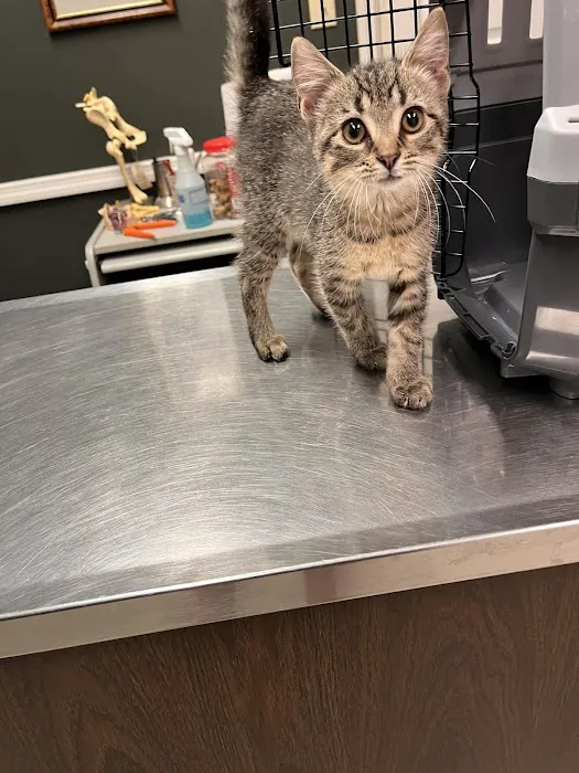 Huesing Veterinary Clinic Picture 9