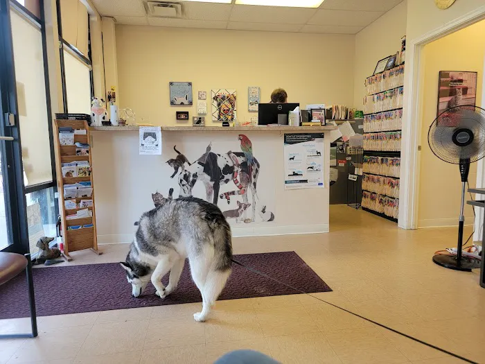 Shelby Street Veterinary Hospital Picture 10