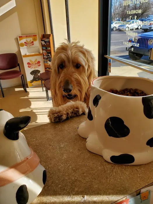 Shelby Street Veterinary Hospital Picture 9