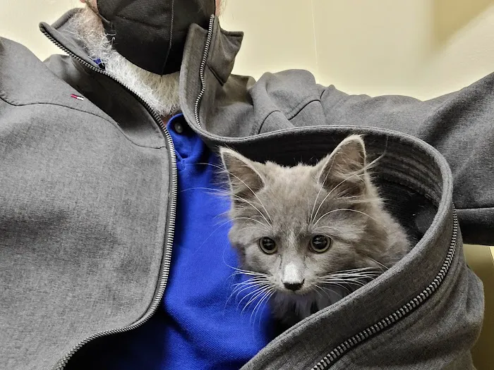 Crescent Springs Animal Hospital Picture 5