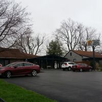 Crescent Springs Animal Hospital ico
