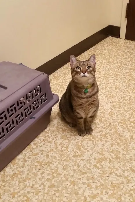 Crescent Springs Animal Hospital Picture 6