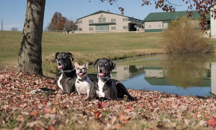 Kentucky Paws Animal Hospital Picture 2