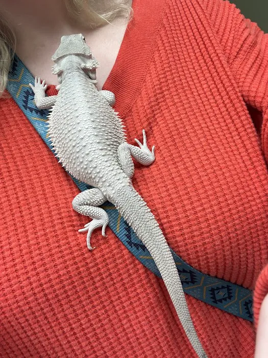 Erlanger Veterinary Hospital Picture 2