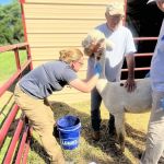 Bluegrass Mobile Veterinary Services
