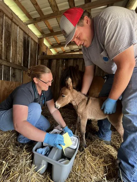 Bluegrass Mobile Veterinary Services Picture 2