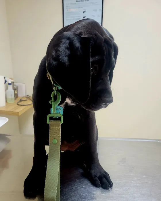 Stanton Veterinary Clinic Picture 2