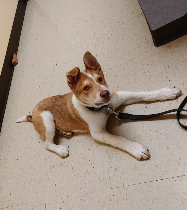 Clark County Veterinary Clinic Picture 6